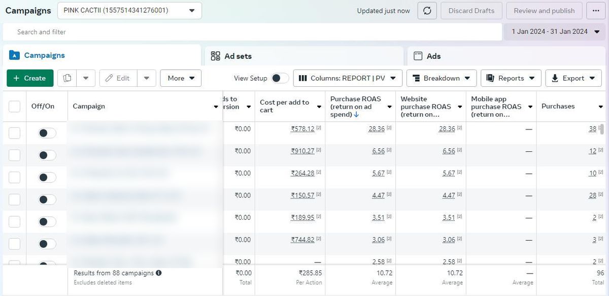 Pink Cactii · Ethnic wear: 10.72x ROAS, 96 purchases in a month, best campaign at 28.36x